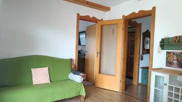 Smart TV, DVD player, books