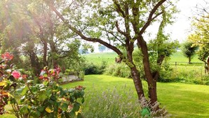 A garden with a variety of plants, a tree, and a fence.