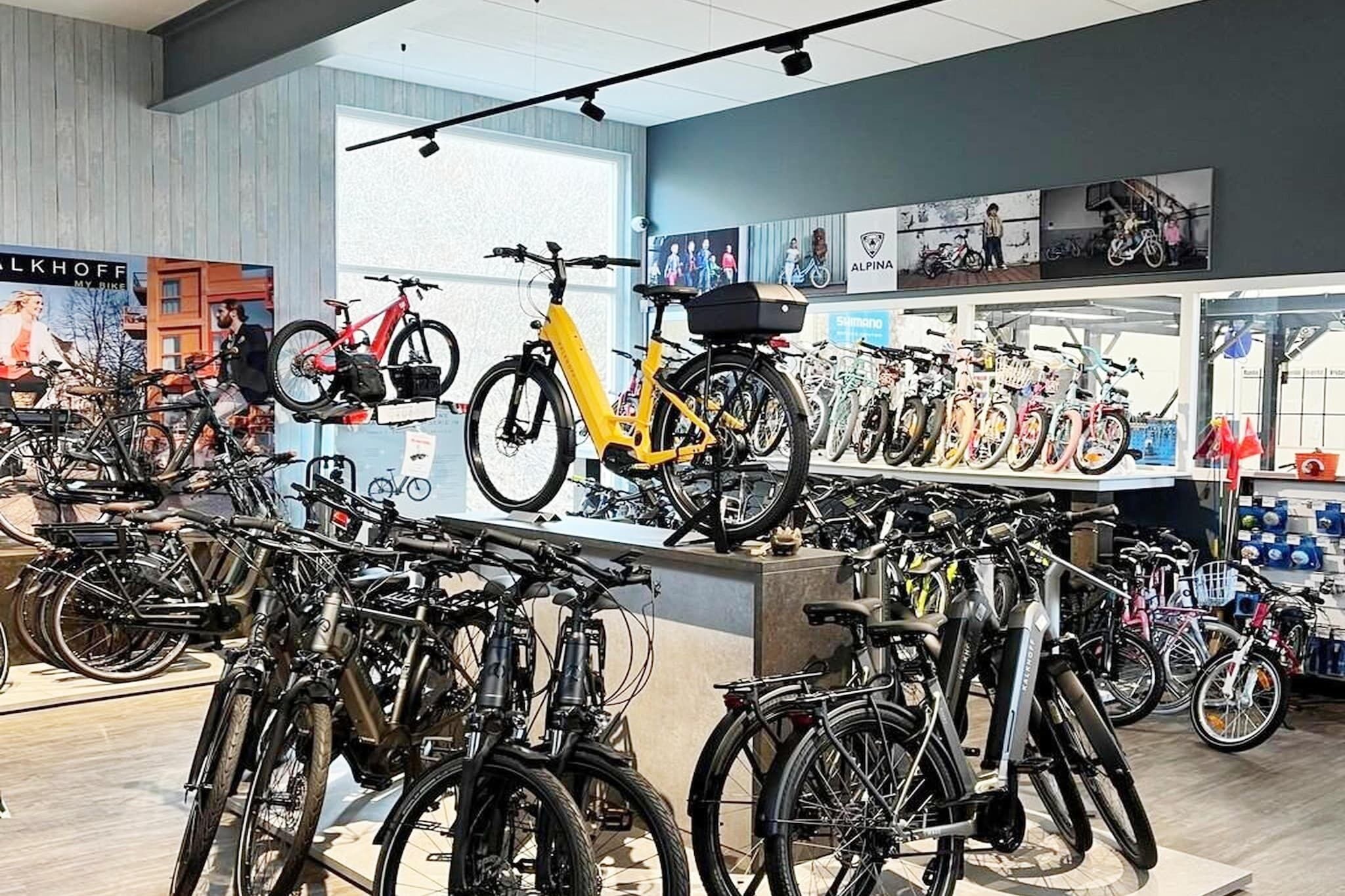 A bicycle shop with various bikes on display and a large window in the background.