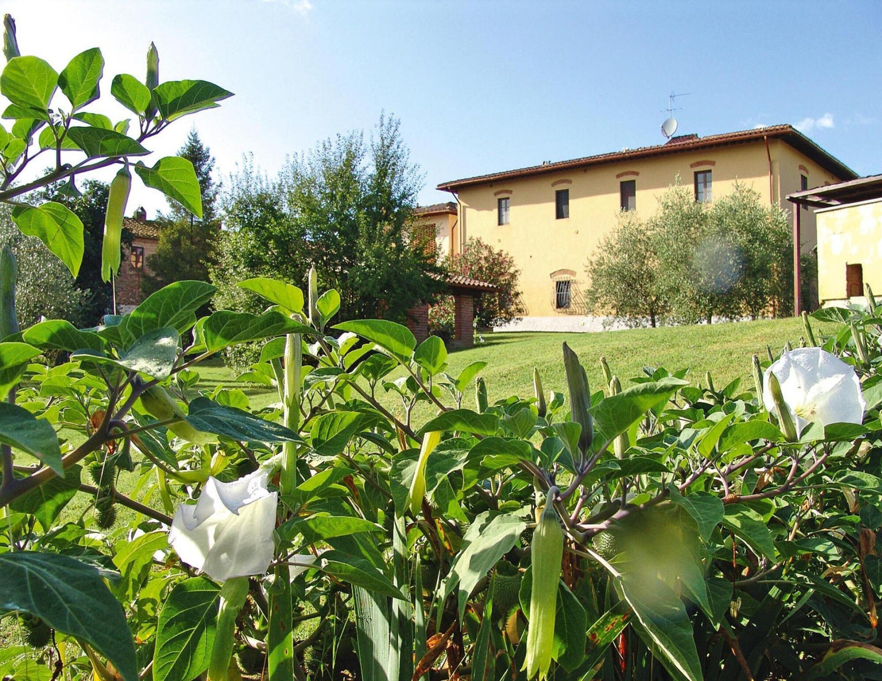 A building with a yellow facade, a small garden with green plants and white flowers, and a clear blue sky.