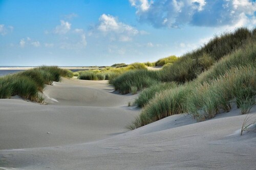 Pet-Friendly Zeeland Getaway