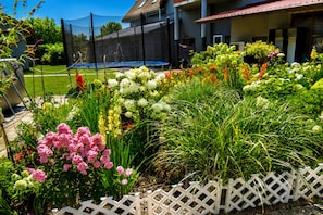 A residential garden with a trampoline, various flowering plants, and a white fence. - Seaside Holiday Home Swinoujscie (Swinoujscie)
