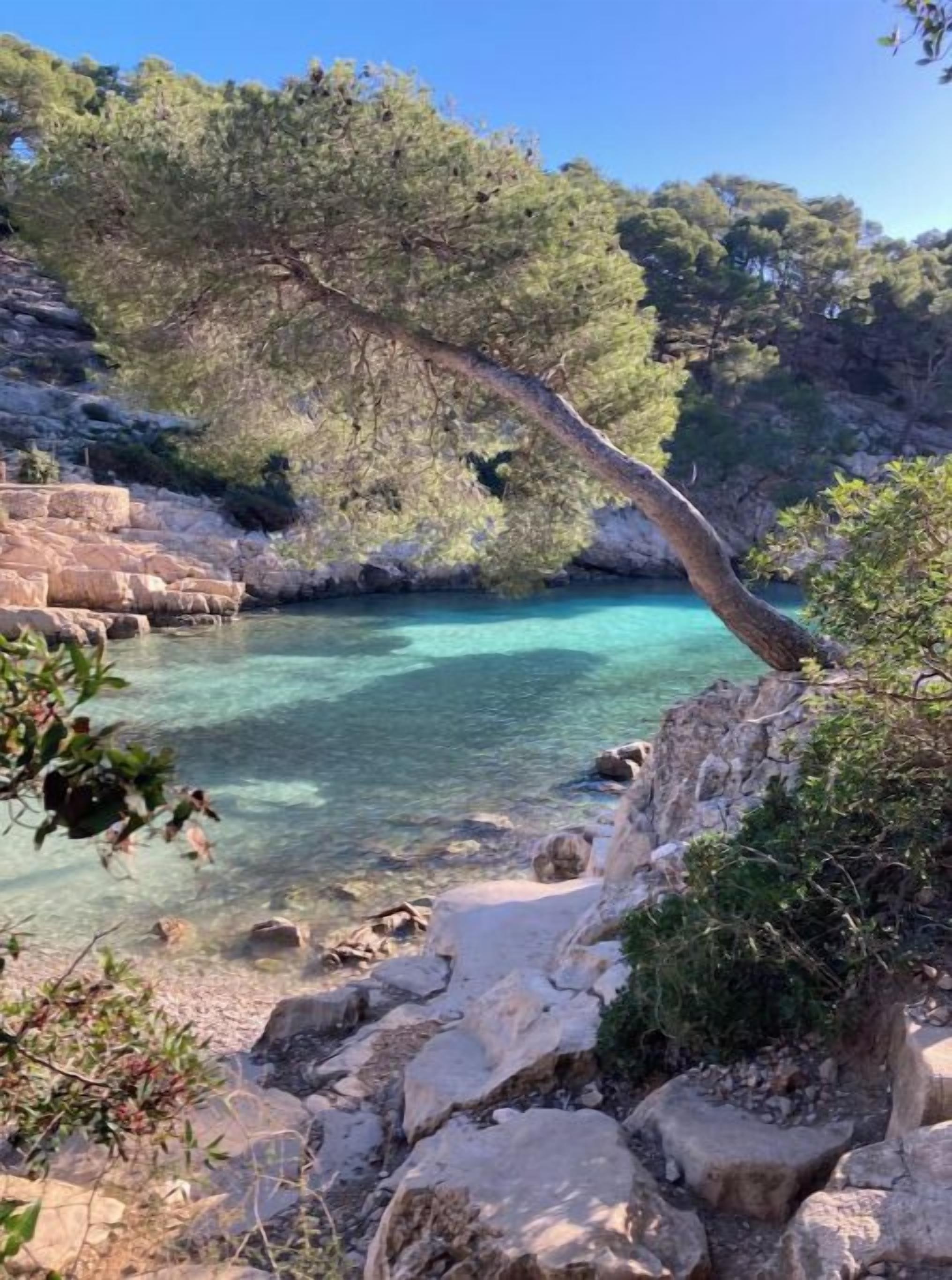 Strand