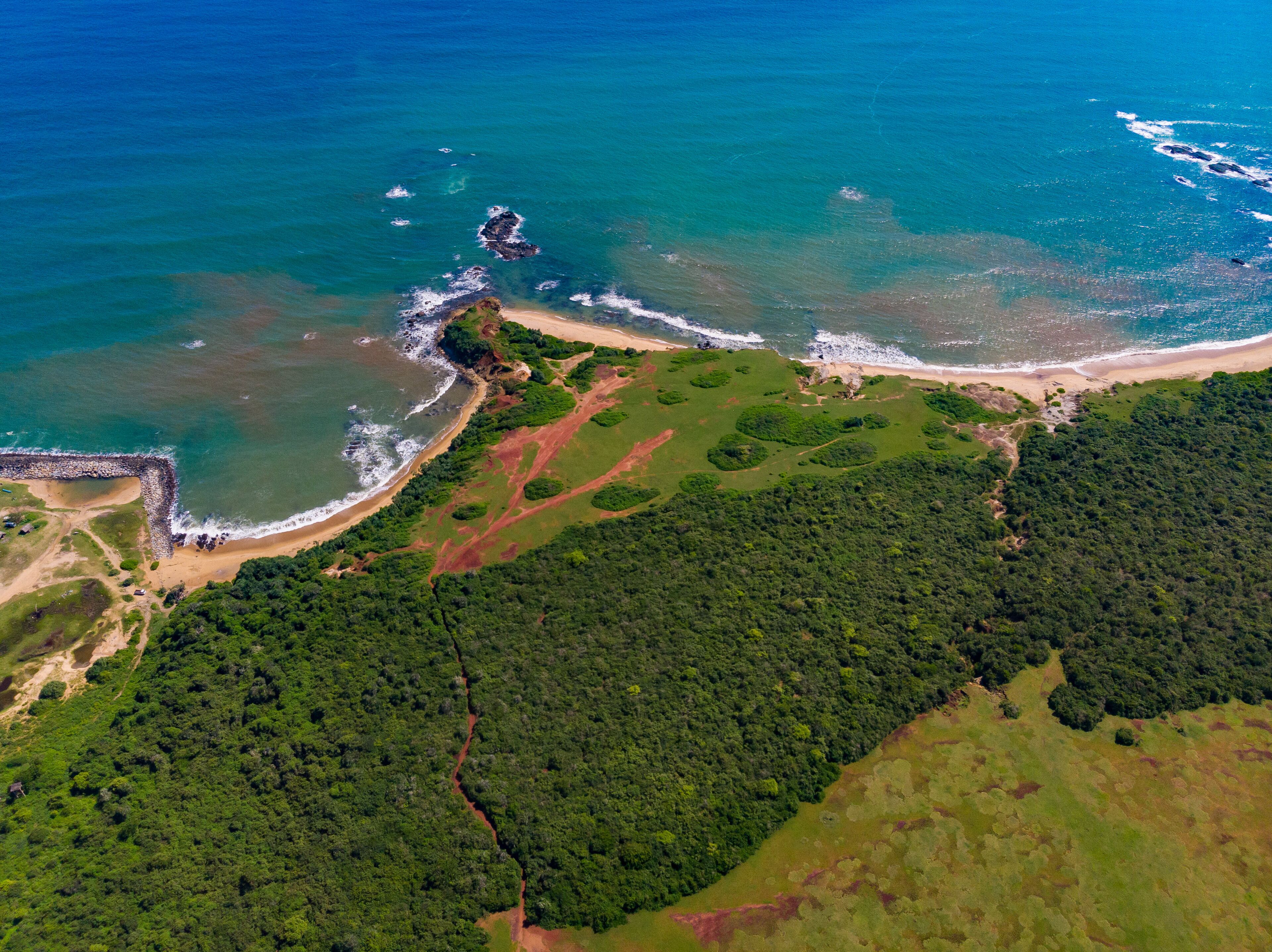 An aerial view of a coastal area with a beach, dense forest, and rocky outcrops.