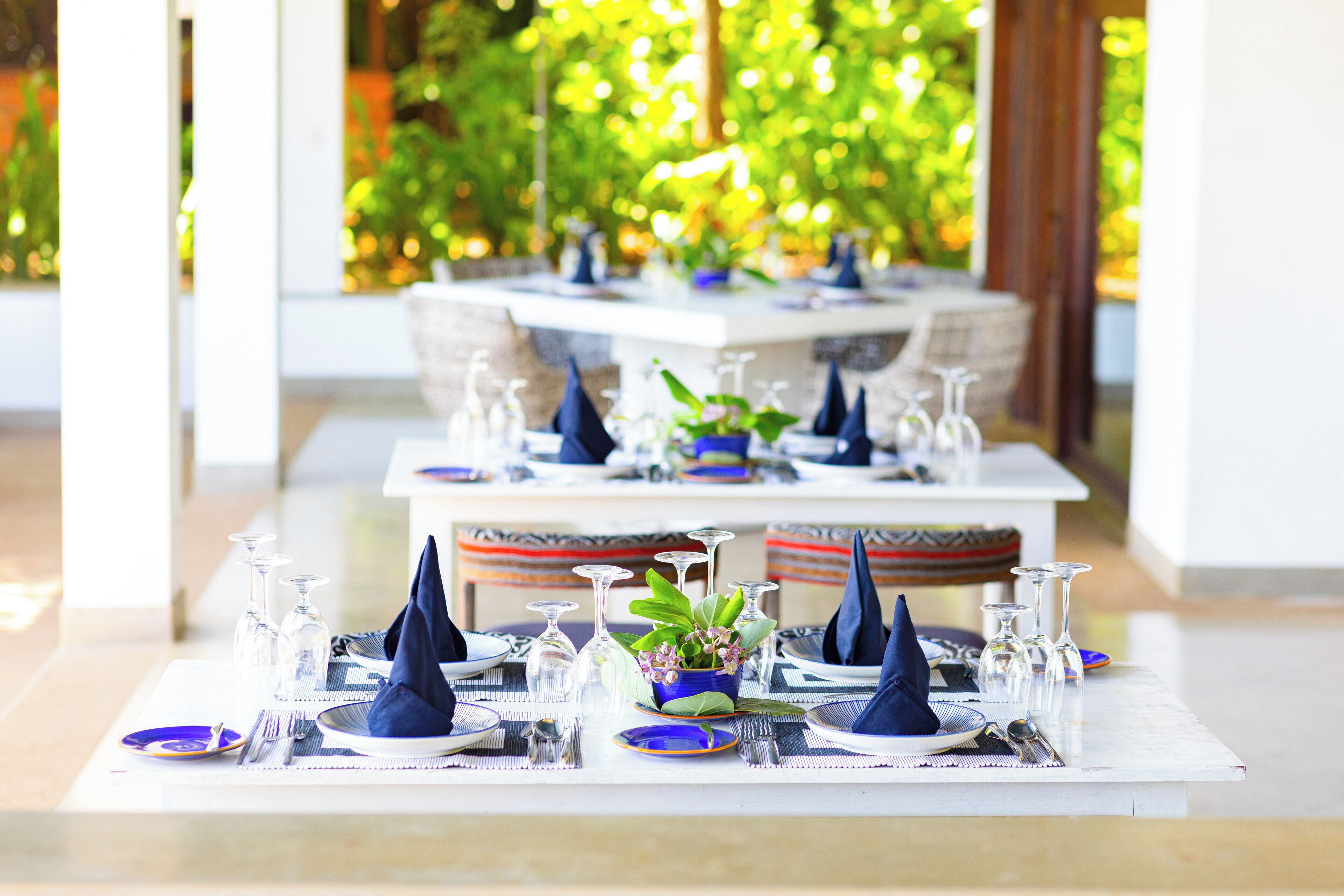A dining table set with blue napkins, wine glasses, and a potted plant.