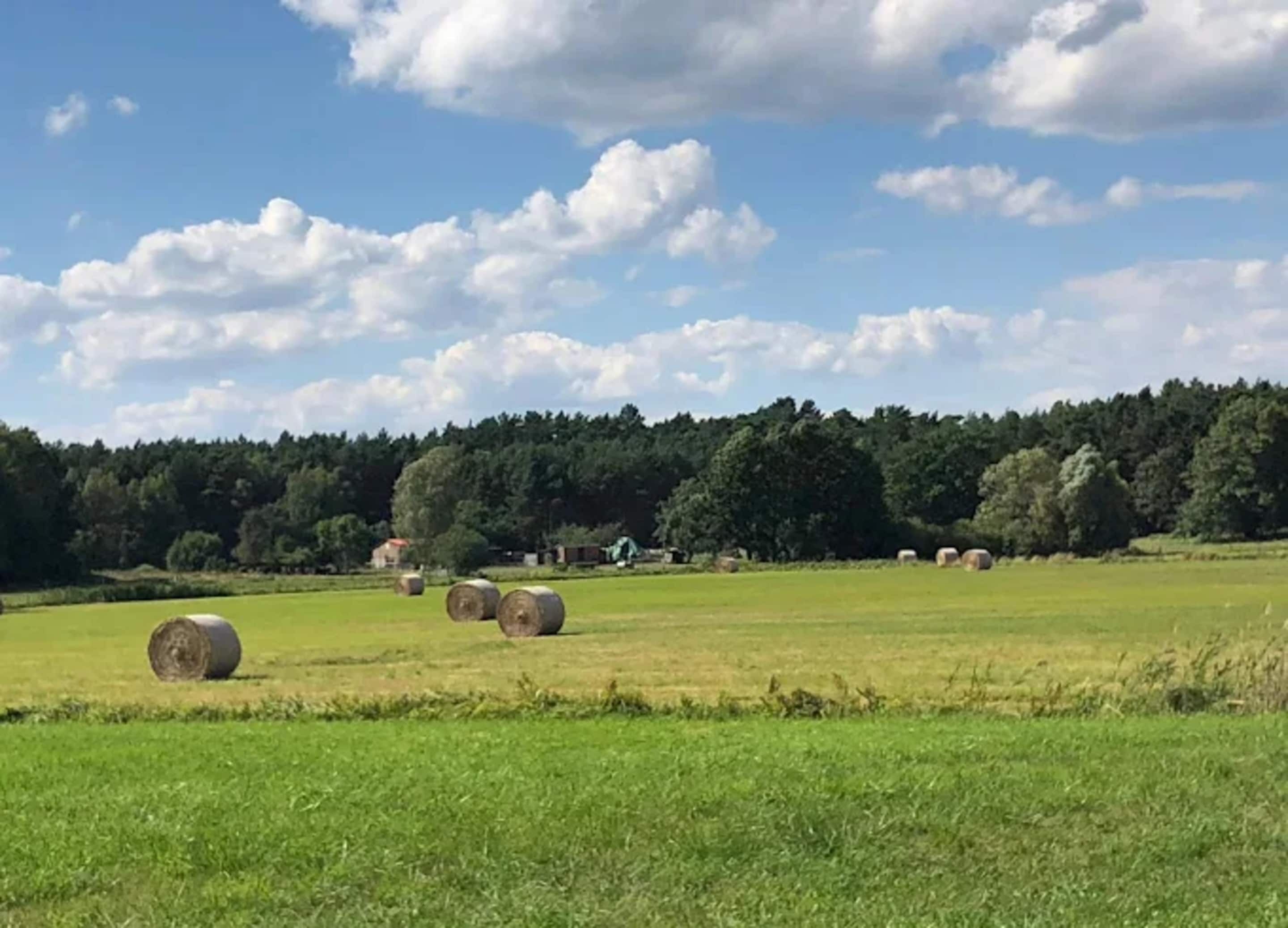 Paisaje rural con fardos de heno en un campo, un bosque al fondo y cielo despejado.
