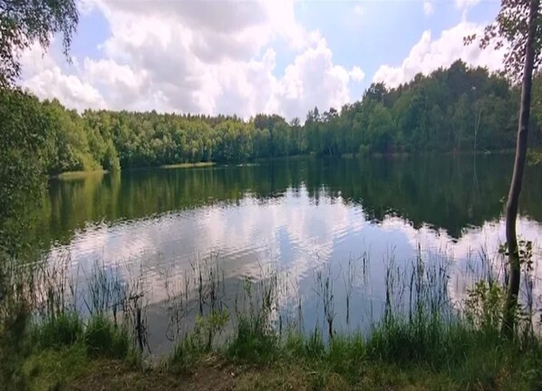 A calm lake surrounded by dense forest.