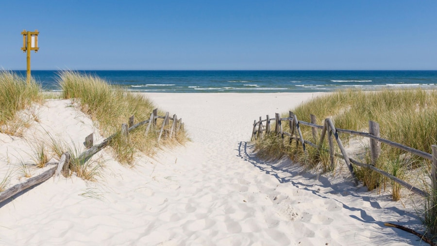 Large Holiday Villa With Sauna, Jacuzzi and Pool