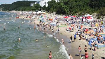 Apartment | View from property