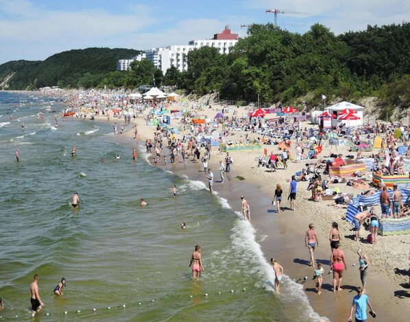 View from property - Apartment in Rewal Near Blue Flag Beach (Rewal)