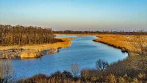 A river meandering through a marshy landscape with wind turbines in the distance. - Hausboot auf der Peene, Demmin (Demmin)