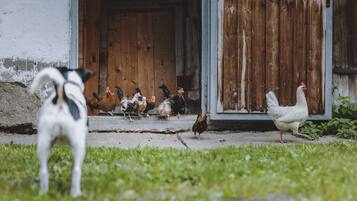 Apartment | Exterior