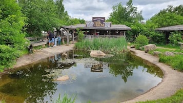 Ferienhaus | Blick von der Unterkunft