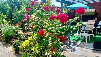 Apartment | Garden