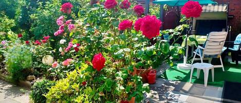 Apartment | Garden