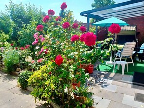 Garden - Apartment in Bsum With Garden (Büsum)