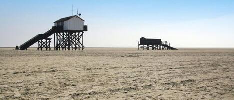 Apartment | View from property