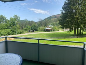 Apartment | Property grounds - Wohnung am Bocksberg Nahe Skilift (Goslar)