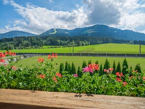 A scenic view of a green field with a wooden fence in the foreground and a mountain range in the background. - Apartment in Brixen Near Wilder Kaiser Gondola (Brixen im Thale)