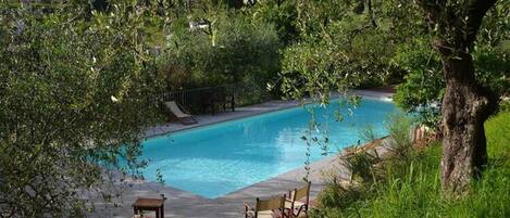 アパートメント | プール | 屋外プール