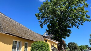 Un bâtiment jaune avec un toit de chaume, un grand arbre devant et un ciel bleu clair.