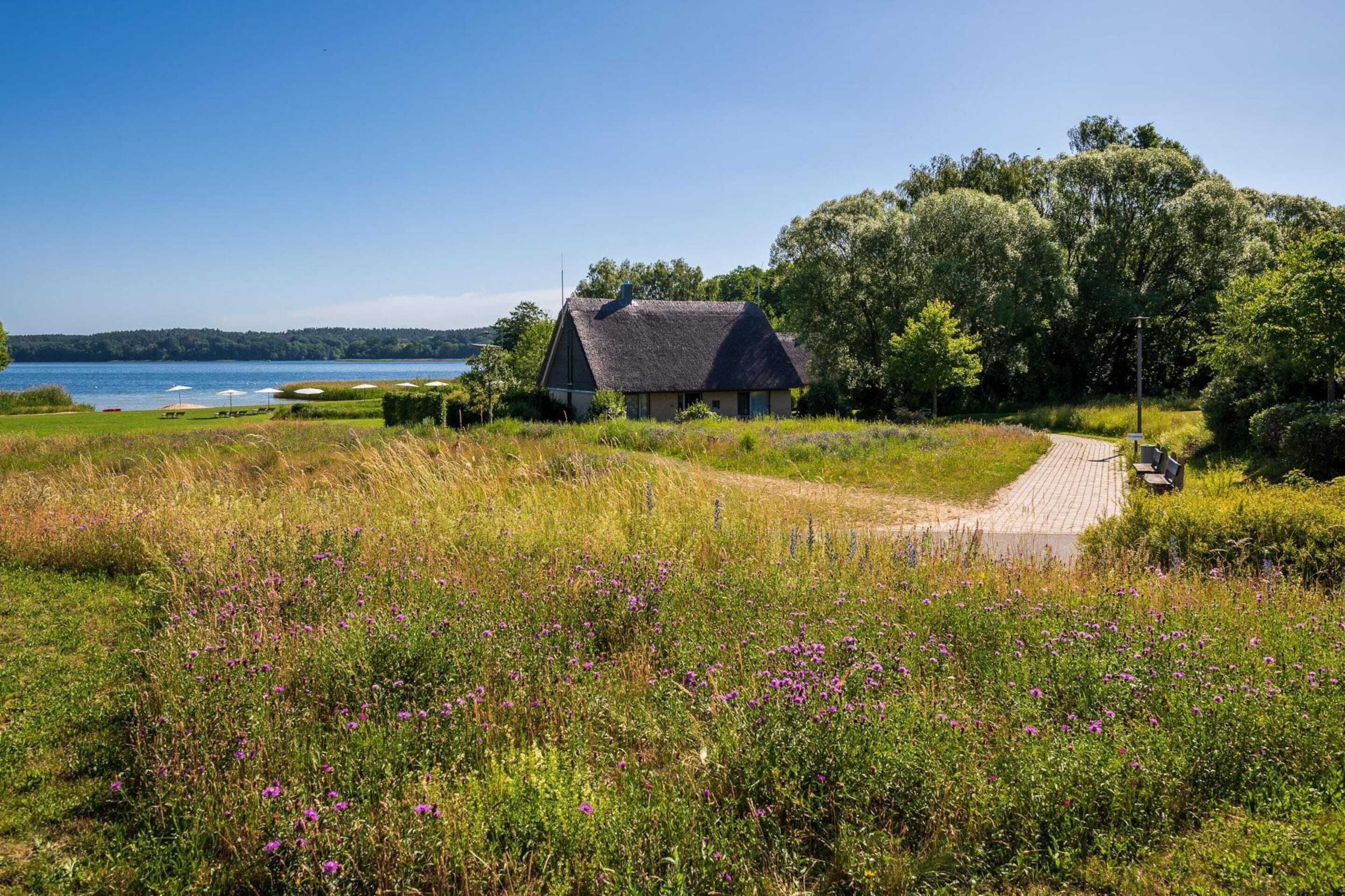 A house with a thatched roof, surrounded by a grassy field with purple flowers, near a body of water and a paved path.
