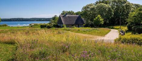 A house with a thatched roof, surrounded by a grassy field with purple flowers, near a body of water and a paved path.