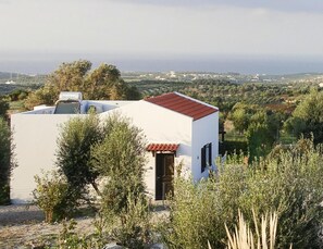 Ferienhaus | Außenbereich