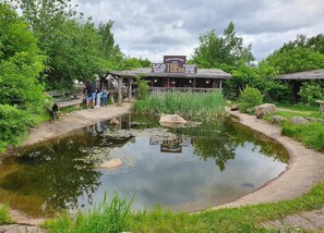 Maison | Vue depuis l’hébergement