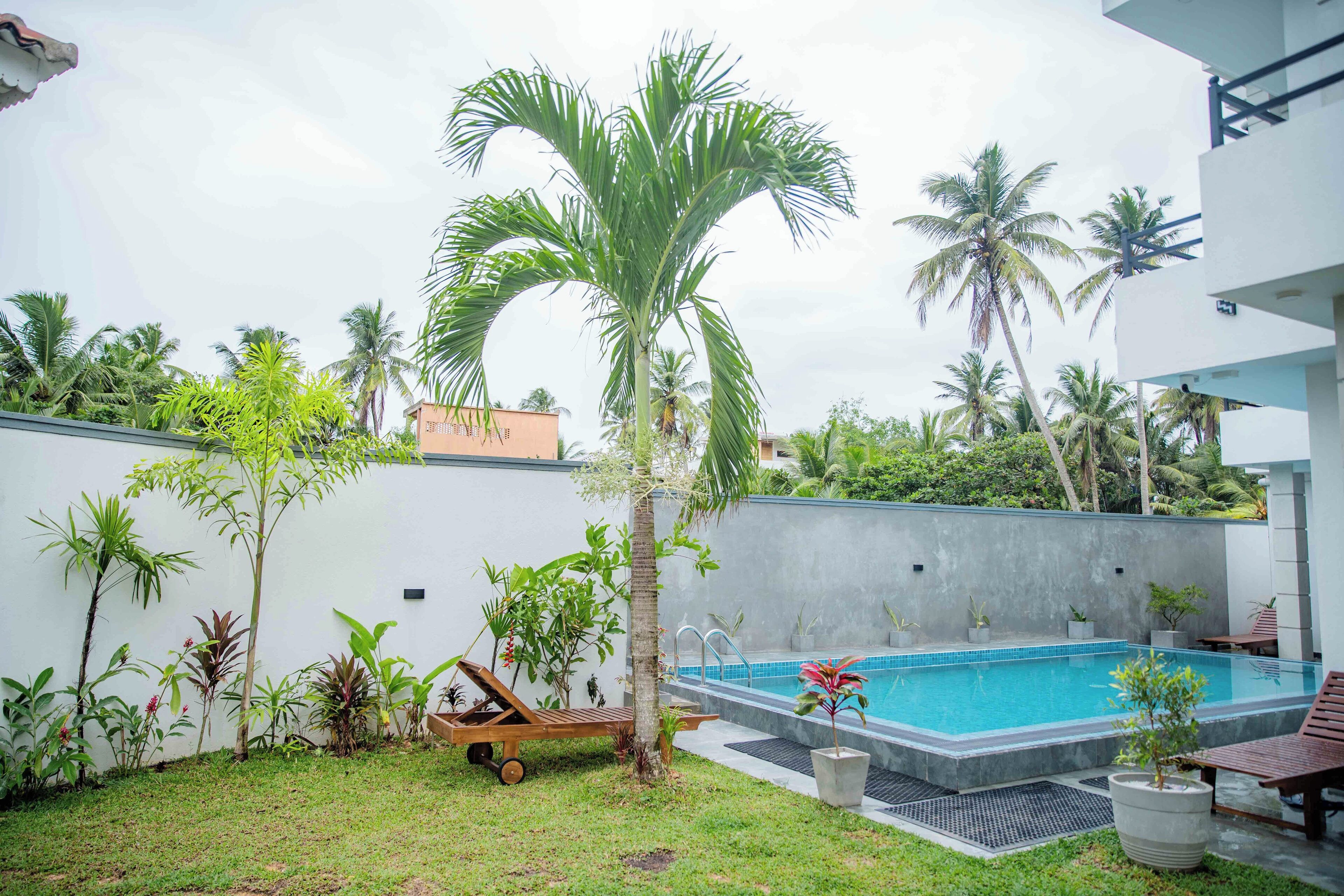 A swimming pool with lounge chairs, surrounded by palm trees and various plants, with a modern building in the background.