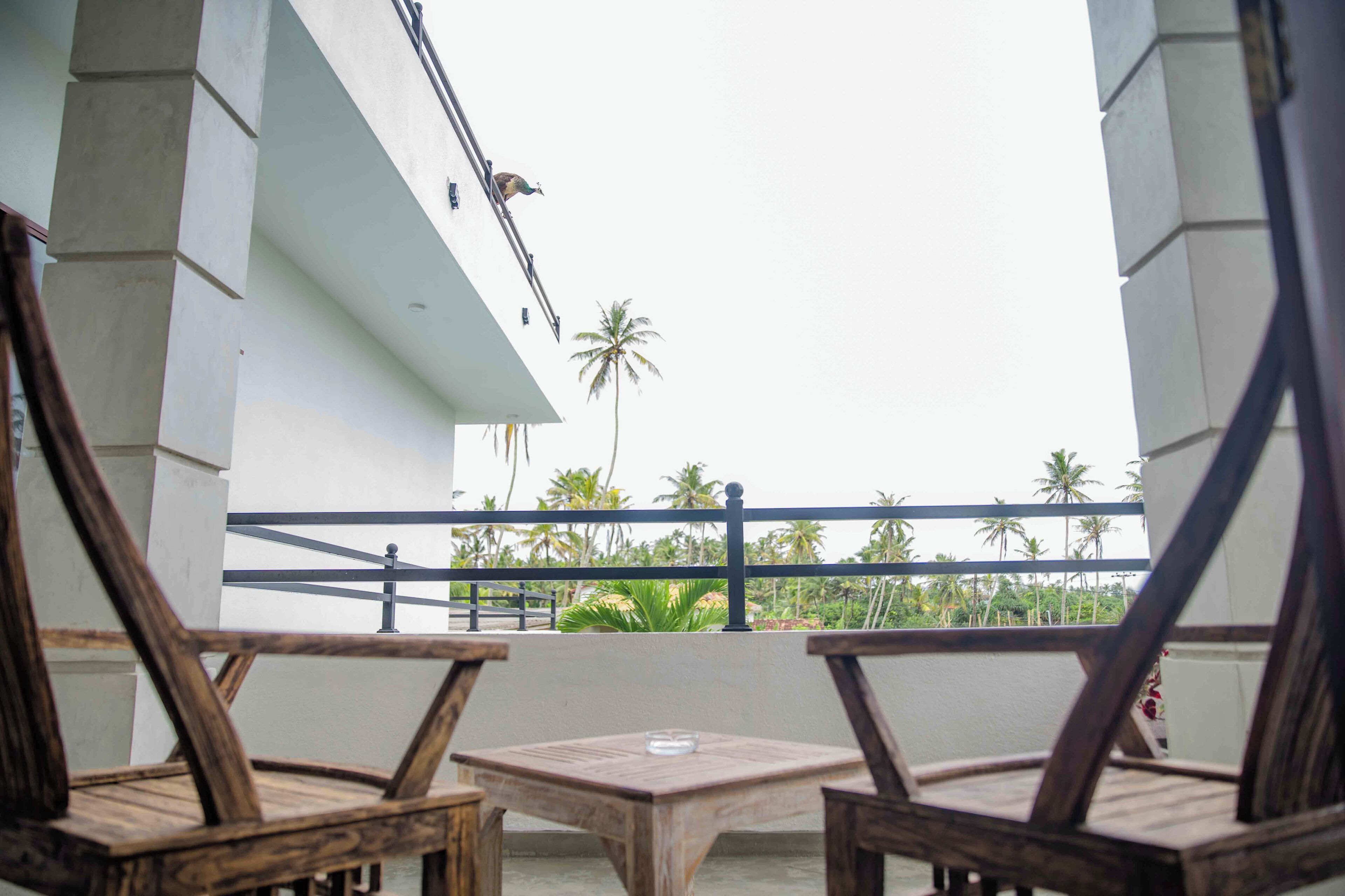 A balcony with two wooden chairs and a small table, overlooking a white building and palm trees.