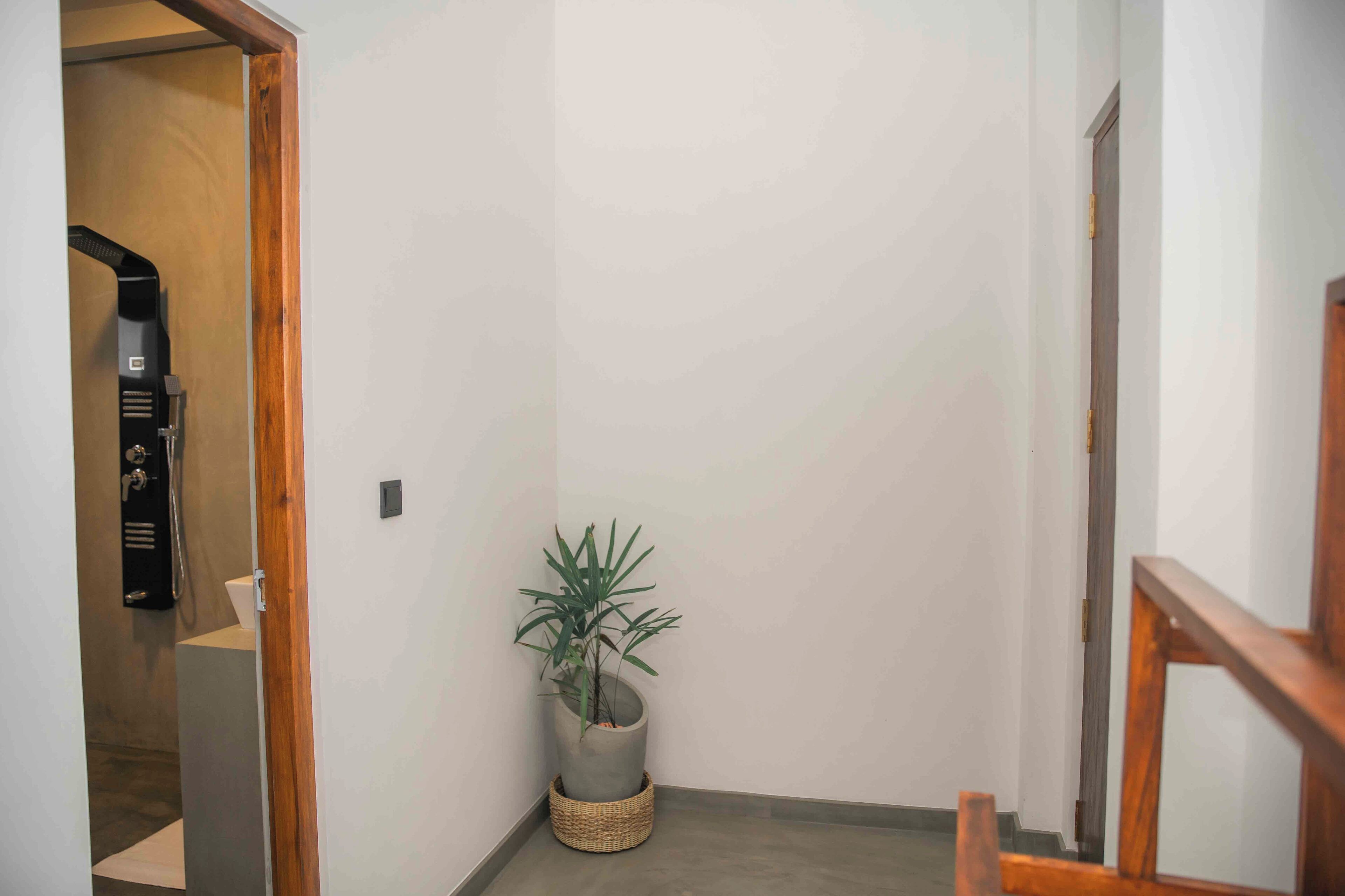 A narrow hallway with a potted plant, a shower area, and a wooden door frame.