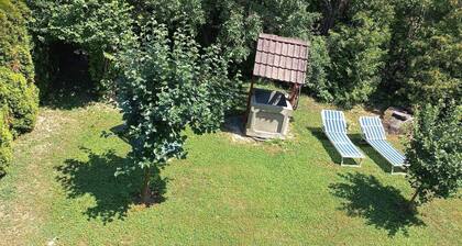 Gemütliches ruhiges Appartment im Winter und Sommer am Fuße des Berg Badacsony