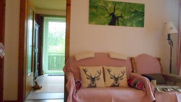 Smart TV, DVD player, books