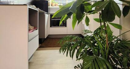 N.1 K-POP Center, COEX, Romantic vacation, Quite & Luxury shopping streets