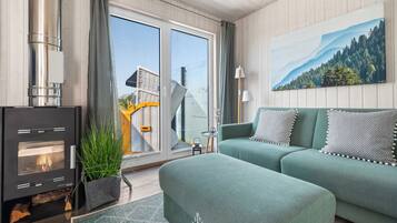 Una televisión, una chimenea, una videoteca