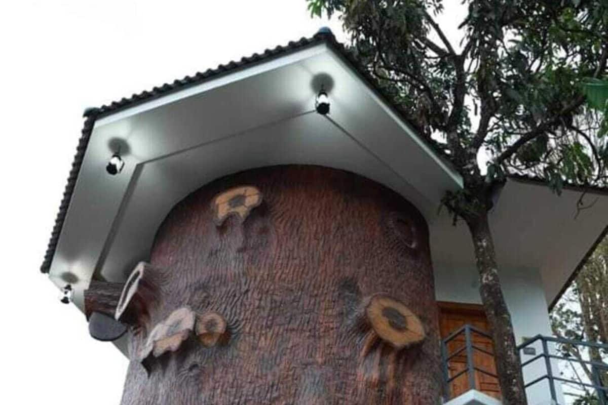 Un bâtiment doté d’une façade originale, évoquant un arbre, d’une porte en bois et d’un balcon.