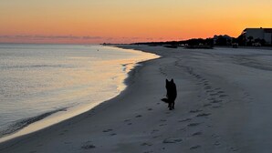 A beach with a dog walking along the shore, buildings in the background, and a sunset.