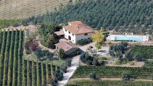 A vineyard with rows of grapevines, a white building with a tiled roof, and a swimming pool.
