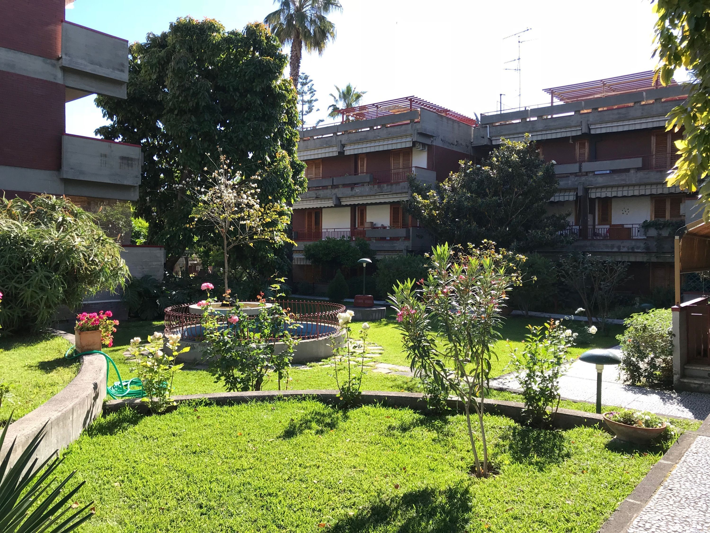 Une cour agrémentée d’une pelouse bien entretenue, d’un parterre circulaire et de diverses espèces d’arbres et d’arbustes.
