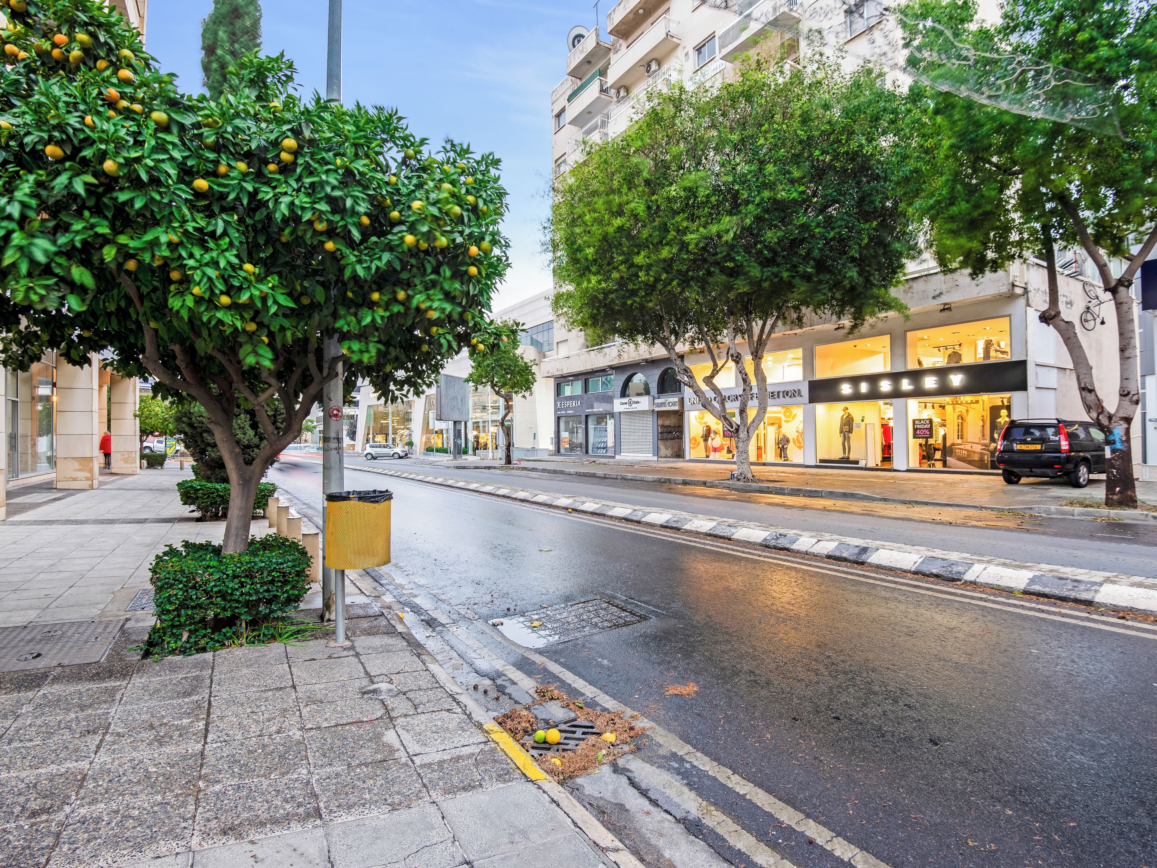 A street with trees, a sidewalk, and storefronts including a shoe store.