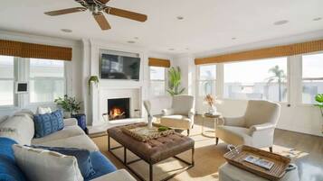 TV, fireplace, video games, books