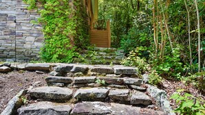 Una escalera de piedra que conduce a una puerta de madera, rodeada de abundante vegetación.