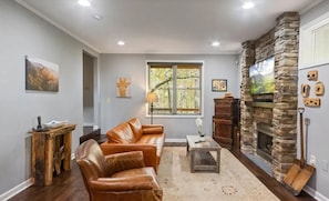 Smart TV, fireplace, books