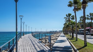 Una passerella di legno lungo il mare, con lampioni e palme.