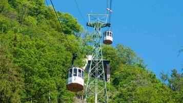 A cable car system with cabins suspended from a green metal tower amidst lush green trees.