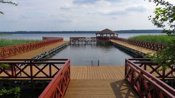 House | View from property