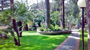 Un giardino curato con un vialetto, palme e diverse piante.