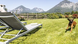 A grassy outdoor area with a lounge chair and a dog. - Holiday Home in Strass With Mountain Views (Strass im Zillertal)