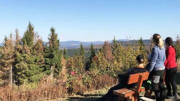 Apartemen | Pemandangan dari properti